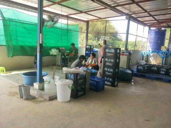 โรงงานน้ำดื่มกุลธิดา